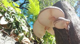 img_20170515_112954.jpeg