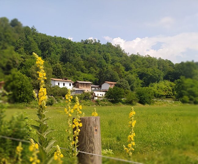 img_20200701_115534-960.jpeg