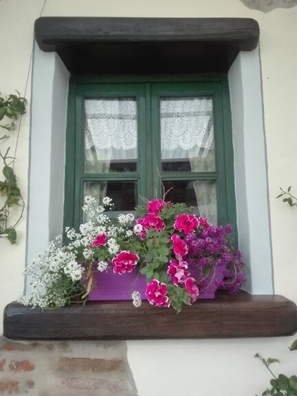 img_20190502_181915.jpeg