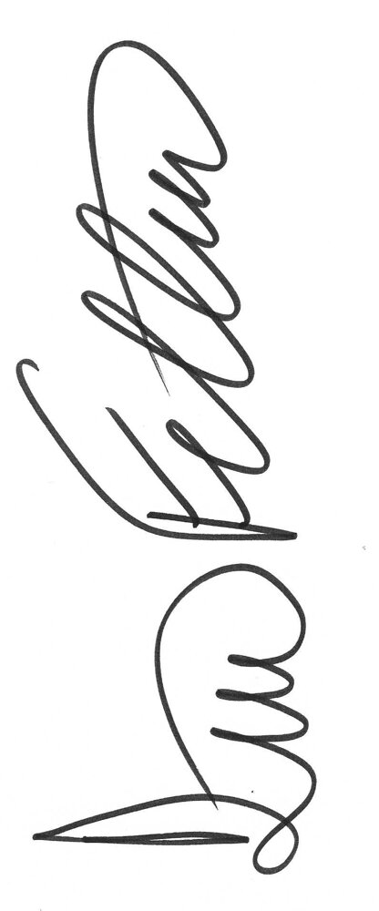 firma di logo 1.jpeg