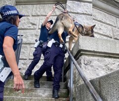sicurezza2-cinofile-ferrara-lega-lodi..jpeg sicurezza2-cinofile-ferrara-lega-lodi..jpeg
