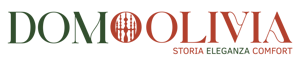 logo_domolivia