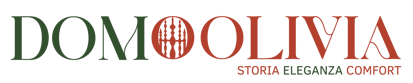 logo_domolivia