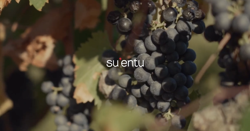Sanluri - Cantina Su'Entu Marmilla