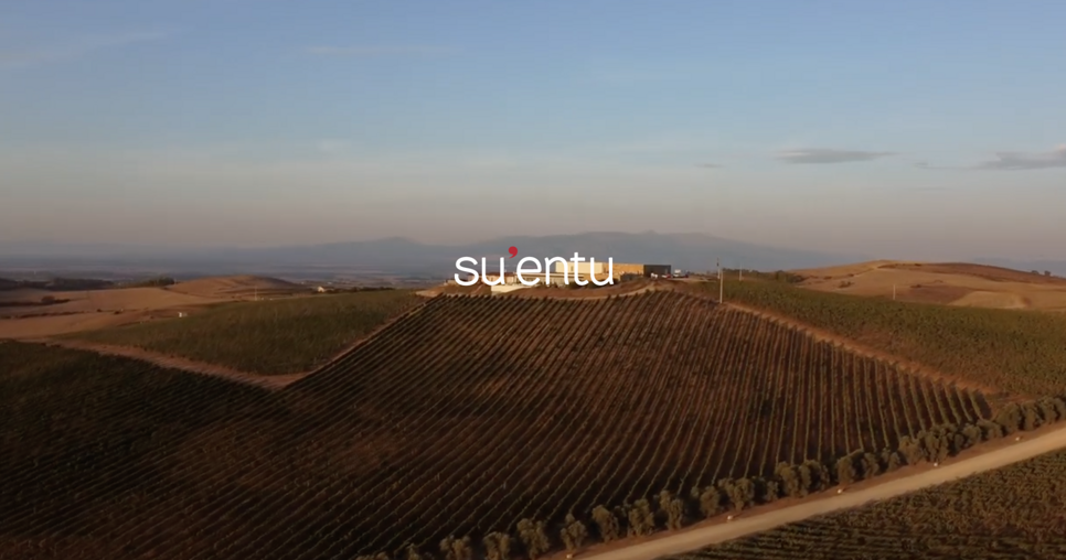 Sanluri - Cantina Su'Entu Marmilla