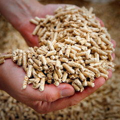 wooden-pellets-110.jpeg wooden-pellets-110.jpeg