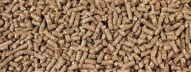 pellet sfuso.jpeg pellet sfuso.jpeg