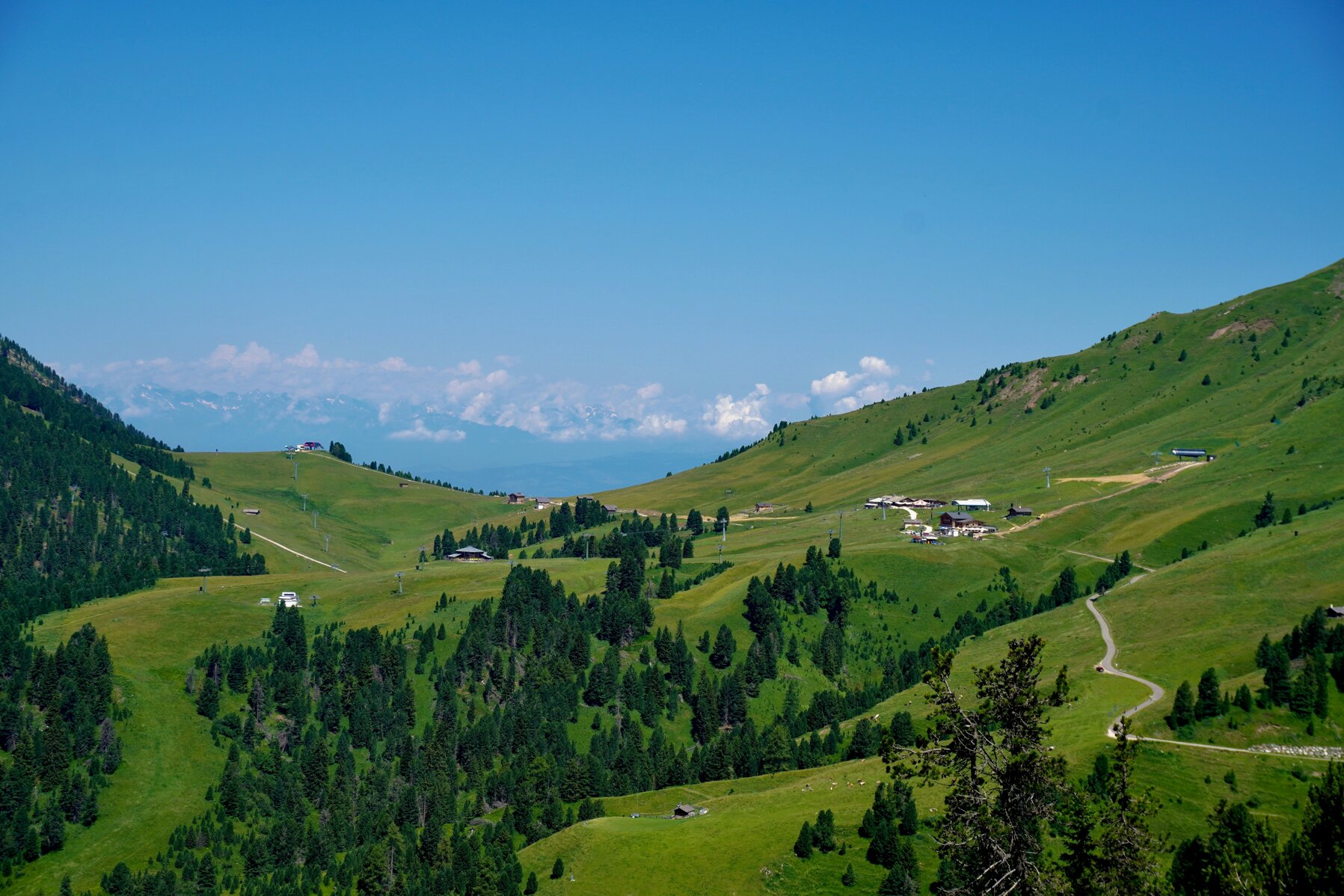 foto alpe lusia.jpeg