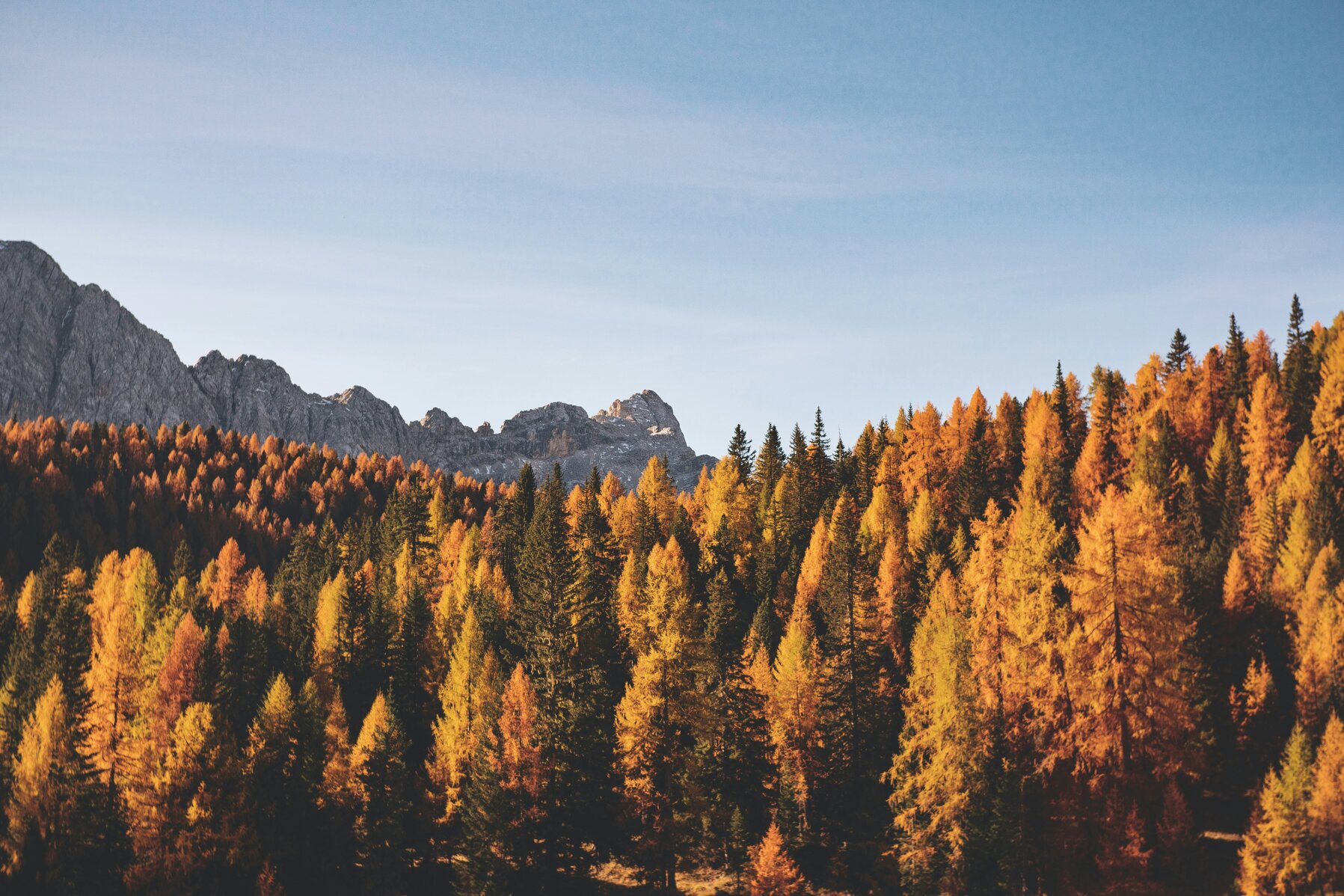 autunno sulle dolomiti.jpeg