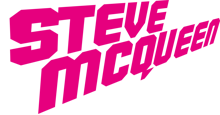 steve logo steve logo