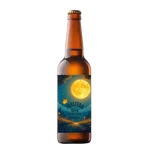 arkana-american-stout-birra-artigianale-siciliana-frasteda-da-33-cl-71