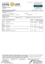 senza-glutine-birra-artigianale-siciliana-frasteda-da-33-cl-56