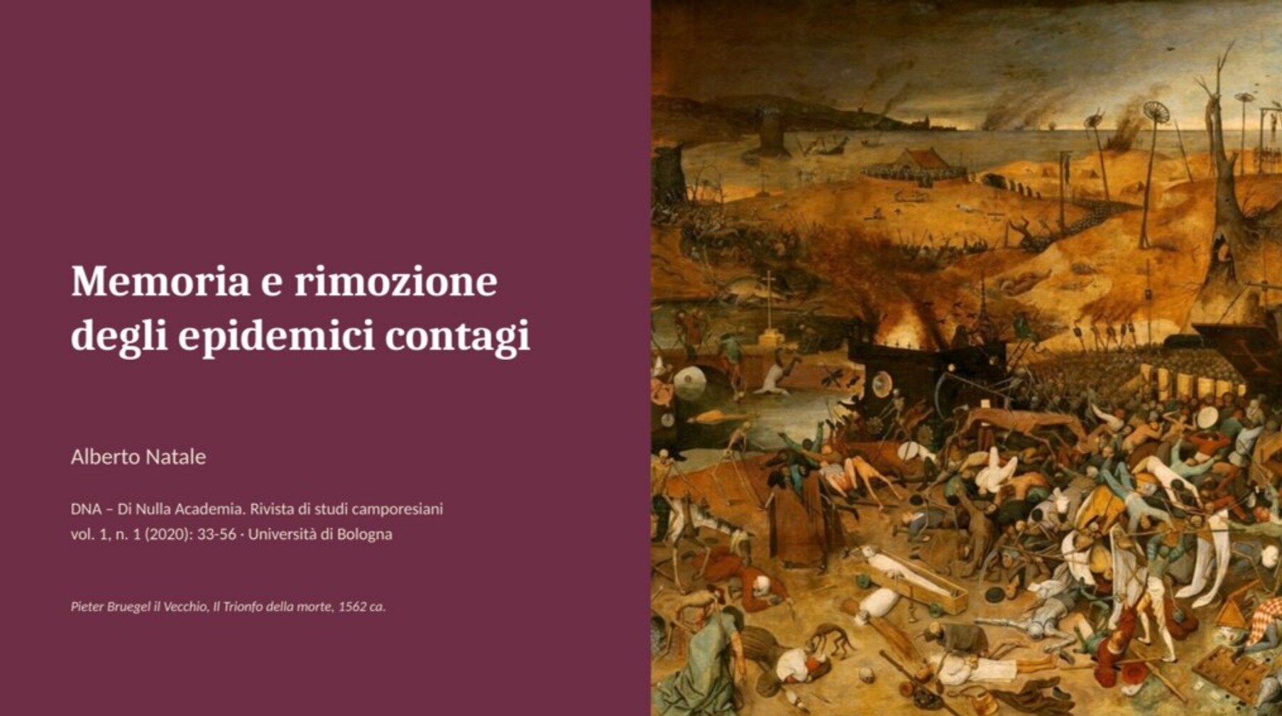 2631-pippo.jpeg 2631-pippo.jpeg