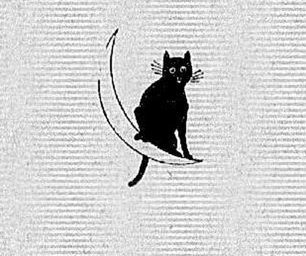 artusi-gatto.png artusi-gatto.png
