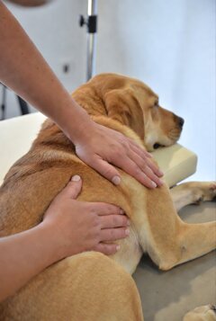 xzzj9 (1).jpeg