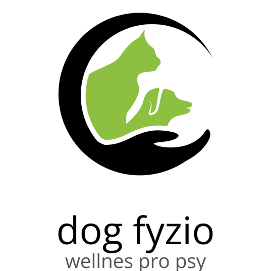 logo (1)