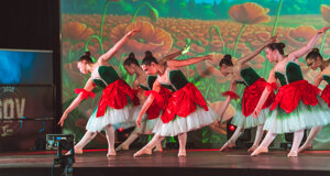 gdv-1306-01028.jpeg gdv-1306-01028.jpeg