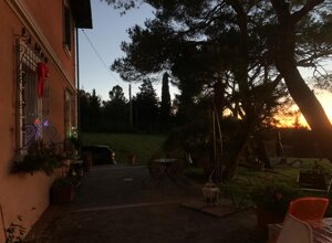 Area esterna b%b all'ulivus Area esterna b%b all'ulivus