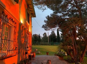 Tramonto all'ulivus Tramonto all'ulivus