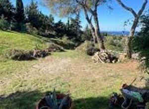 Parco All'ulivus Parco All'ulivus