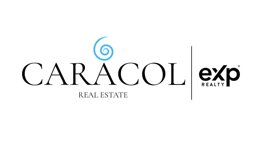 logo caracol.jpeg