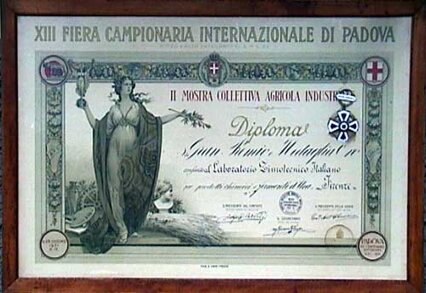 diploma3.jpeg diploma3.jpeg