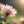 43359_ec8018435b0f04d017f4204a0bc0251fe2d8d4ec 43359_ec8018435b0f04d017f4204a0bc0251fe2d8d4ec