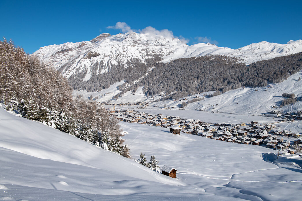 winter landscape-8.jpeg