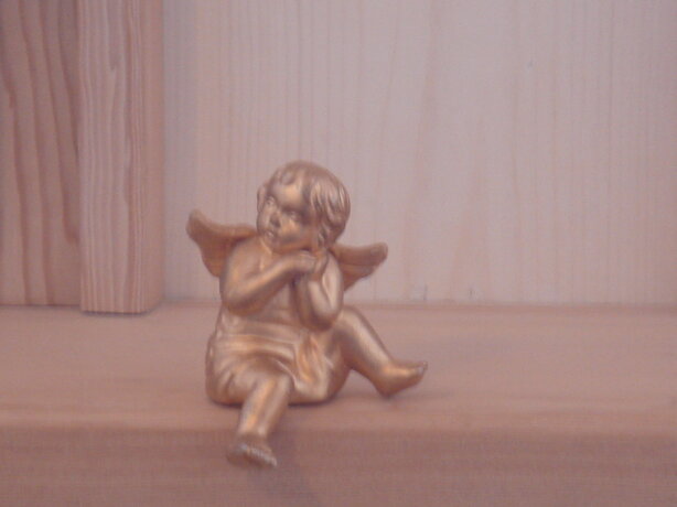 dsc03036.jpeg