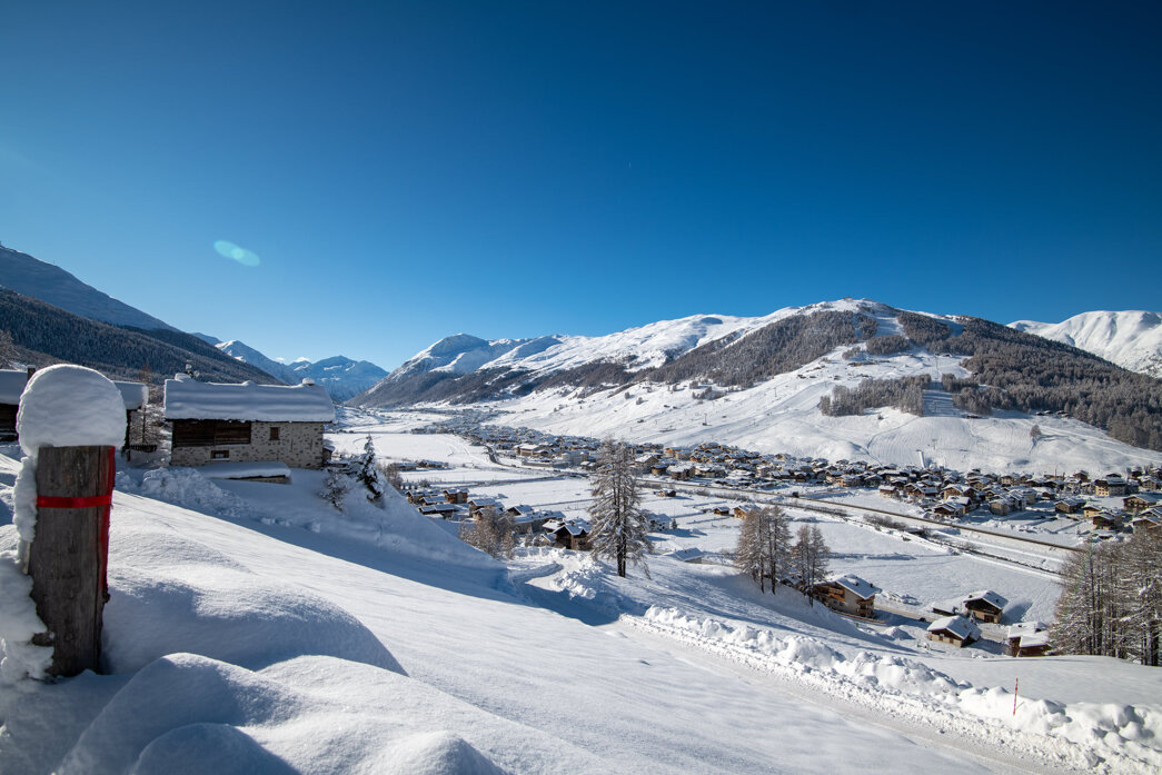 winter landscape.jpeg