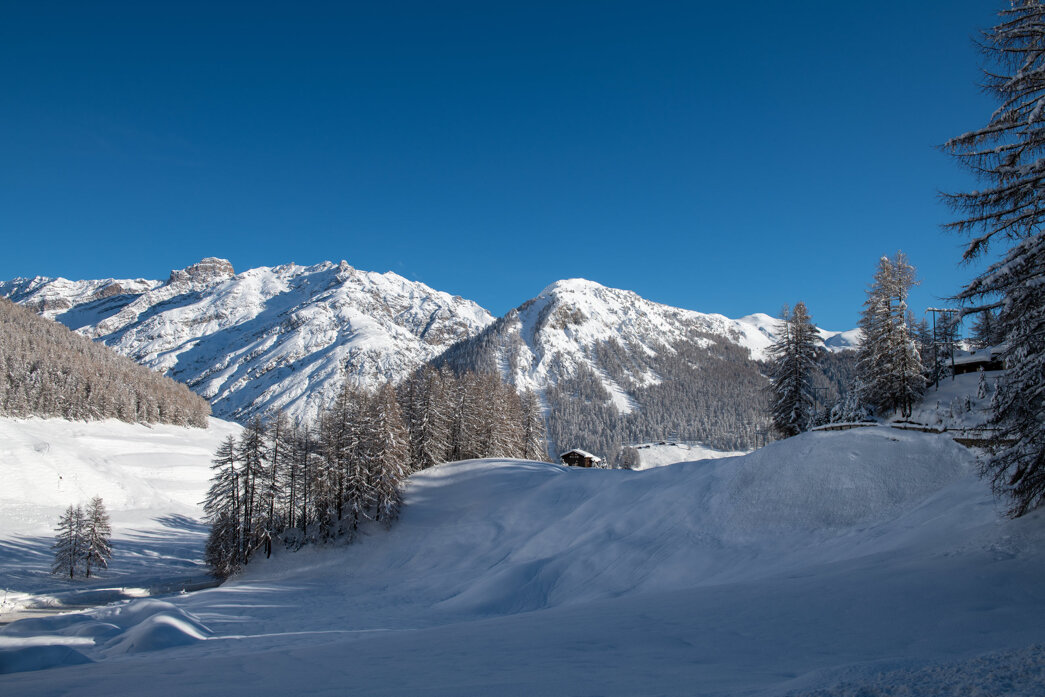 winter landscape-7.jpeg