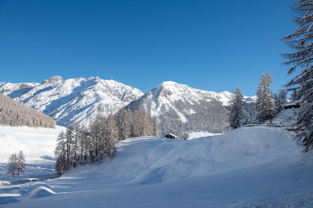 winter landscape-6.jpeg