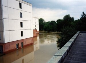photos_zoom_174.jpeg