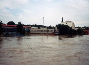 photos_zoom_906.jpeg