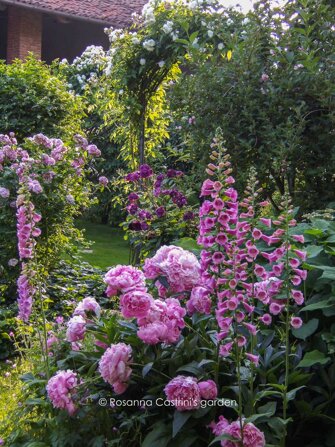 rosanna-castrini-garden (2).jpeg