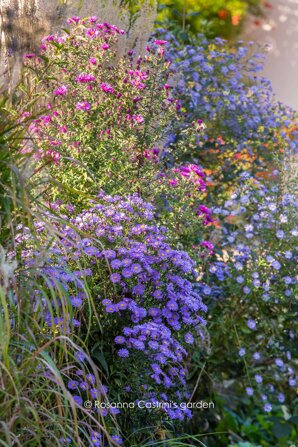 rosanna-castrini-garden-027.jpeg rosanna-castrini-garden-027.jpeg