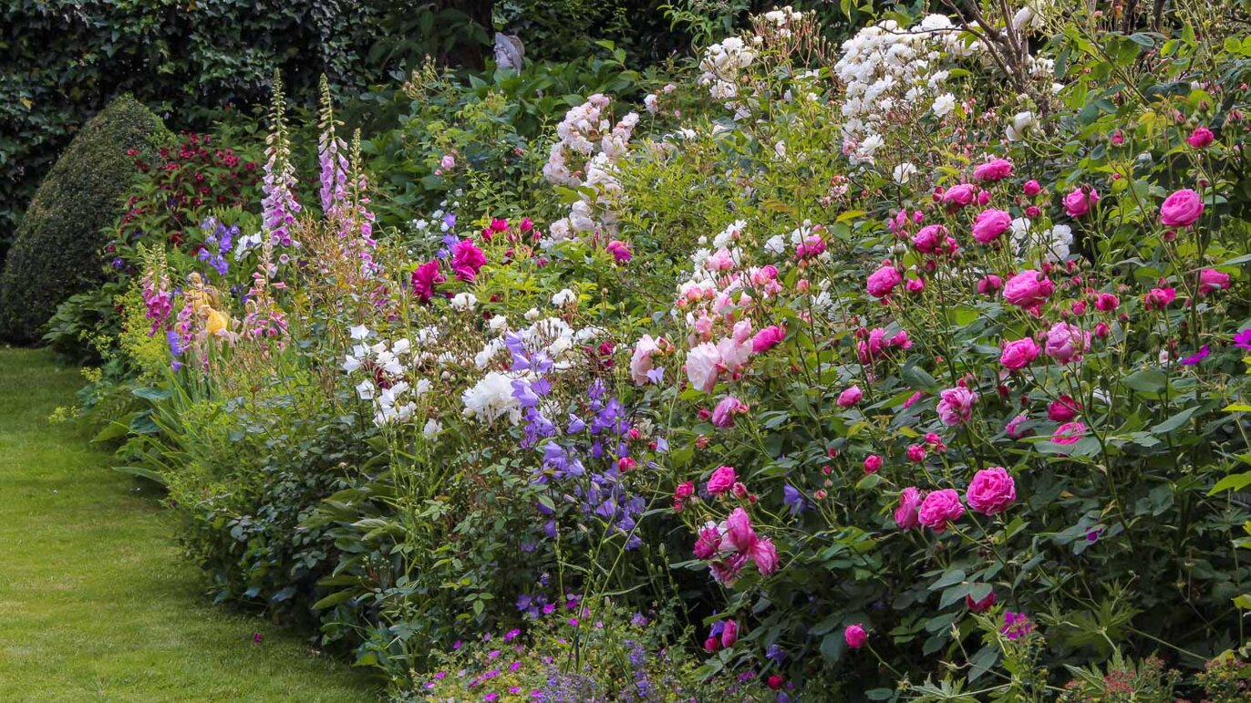 rosanna-castrini-garden-001.jpeg rosanna-castrini-garden-001.jpeg