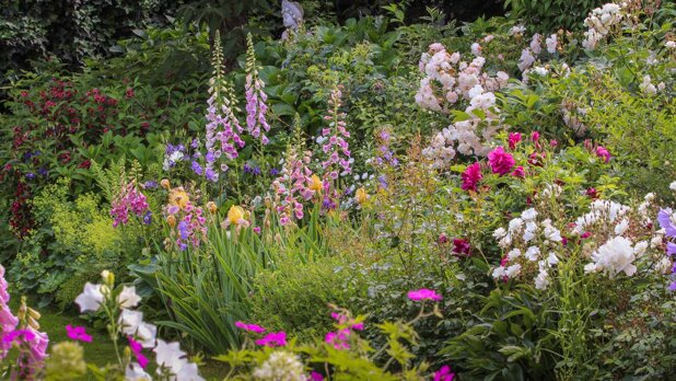 rosanna-castrini-garden.jpeg rosanna-castrini-garden.jpeg