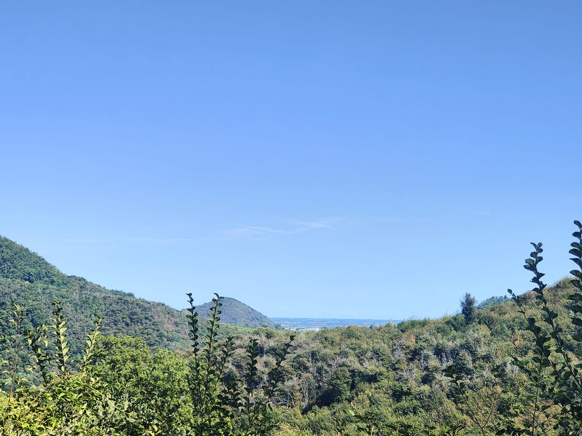 foto vista.jpeg