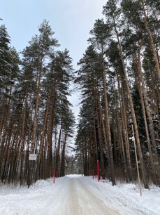 img_5047.jpeg