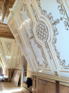 img_1456.jpeg img_1456.jpeg
