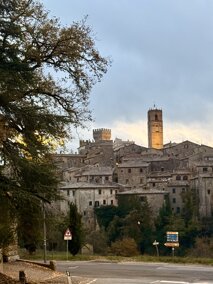 img_5465.jpeg img_5465.jpeg