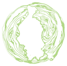 cavolo-sticker-2