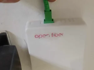 31.jpeg