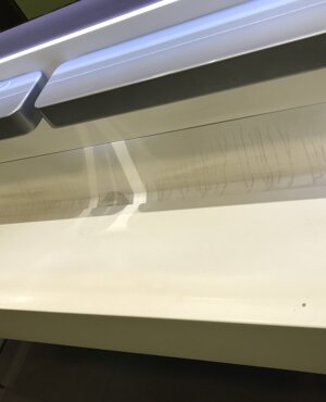 img_8150.jpeg img_8150.jpeg