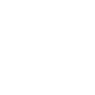 logo_sebastiani (5)