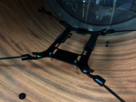 Supporto elastico Beetle