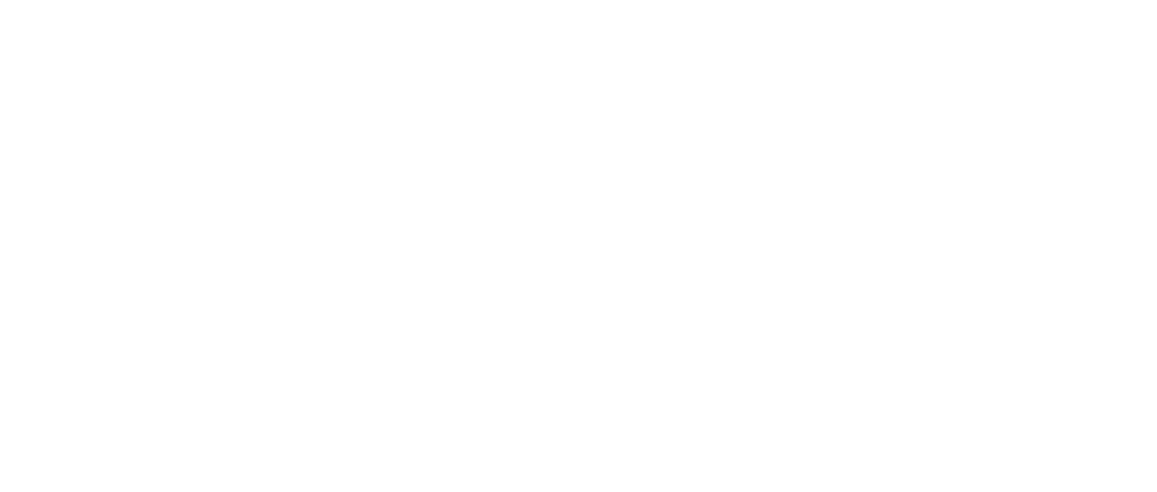 fiamme diego2