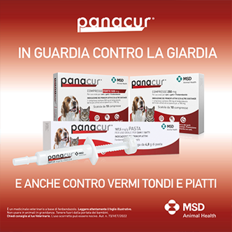 panacur-panadron_400x400_04