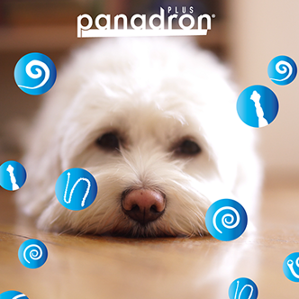panacur-panadron_400x400_03